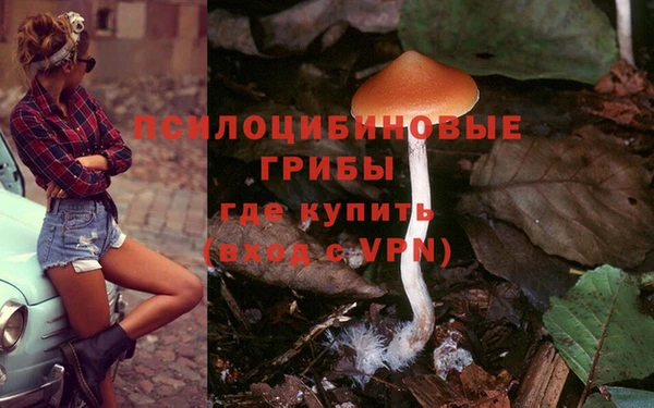 мет Алзамай