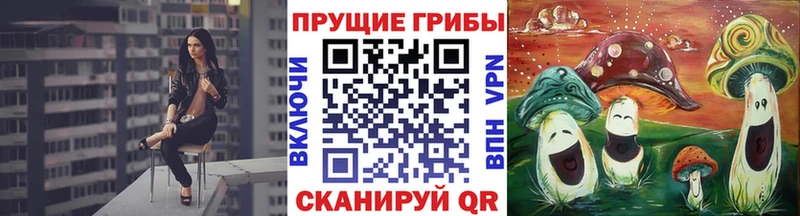 как найти закладки  Луза  Галлюциногенные грибы мицелий 