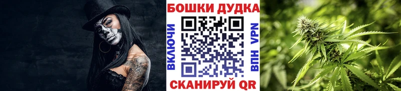 Шишки марихуана ГИДРОПОН Луза